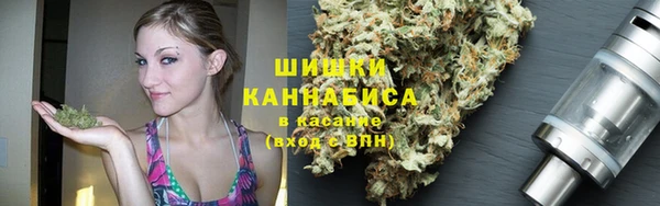 хмурый Богородск