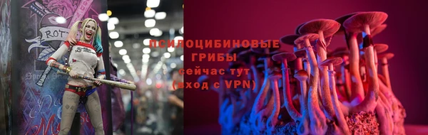 амф Богородицк